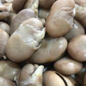 天津市正宗乌豆特产软糯真空包装 五香蒸煮蚕豆新鲜鲜嫩回忆老味道