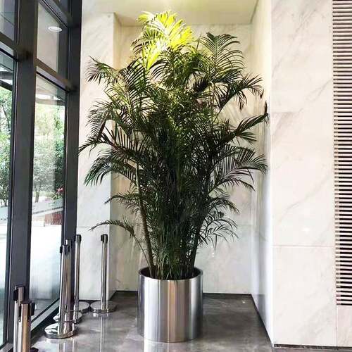 不锈钢花盆大花盆圆柱形花器金属花箱简约花钵种植器皿家用种植盆