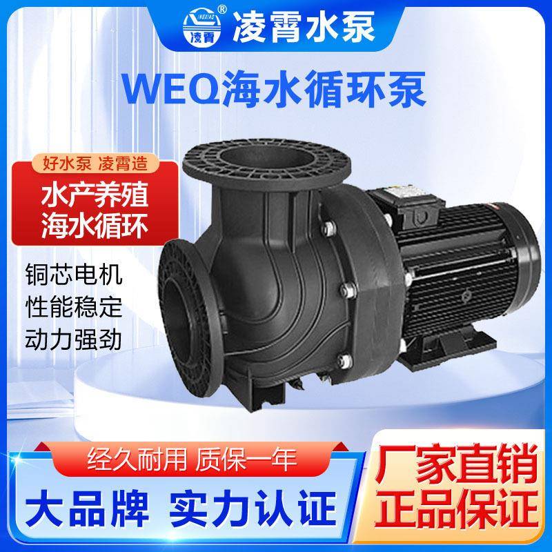 广东凌霄WEQ1000海水耐腐蚀养殖循环泵大流量海水泵