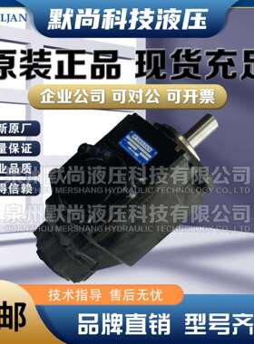 VELJAN/维金叶片泵 VT6C-003-1-R00-B-1 VT6C-010-1-L00-B-1油泵