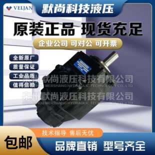 003 L00 维金叶片泵 1油泵 010 VT6C VELJAN R00