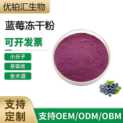 优铂汇直供 蓝莓水果粉 各类水果粉应有尽有