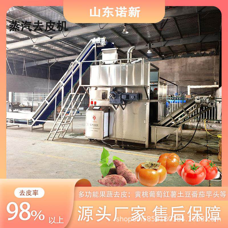 大批量商用桃子葡萄脱皮机 一机多用果蔬蒸汽去皮机 诺新科技