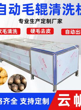 毛辊清洗机带鱼鳞去鳞机海鲜毛辊毛刷清洗机缠膜包装清洗机设