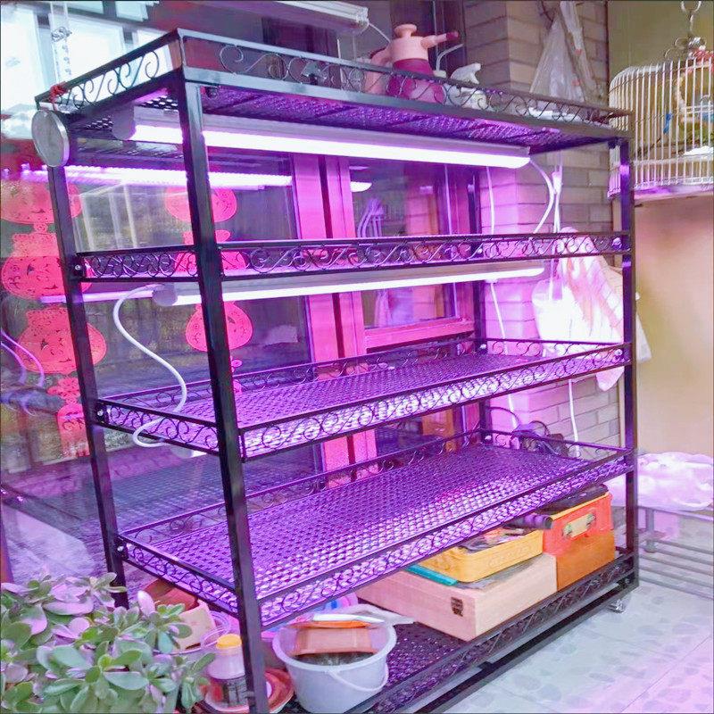 多肉花架多层可移动带轮补光灯专用铁艺花架室内阳台花架庭院室外