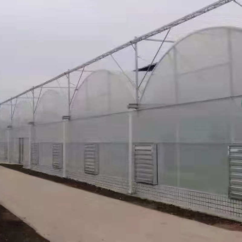 薄膜连栋温室大棚蔬果种植大棚草莓阳光薄膜日光温室花卉养殖大棚