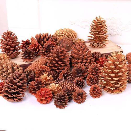 Pinecone Christmas Tree Decoration Dried Flowers圣诞树装饰