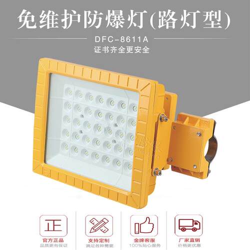 LED防爆路灯头50W60W80W100W免维护节能防爆道路灯IIC级IP66