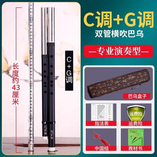 高档巴乌乐器竖吹成学人专业调演奏入小生初学门大音量G/F 单管乐