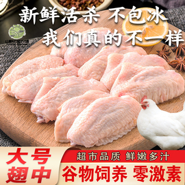 云陵大号鸡翅中生鲜新鲜鸡，翅膀烧烤食材冷冻鸡中翅空气炸锅美食