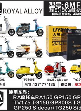 通用RA机车RA150 GP150 GP250 GP300 TG300S TV175 TG300S电瓶