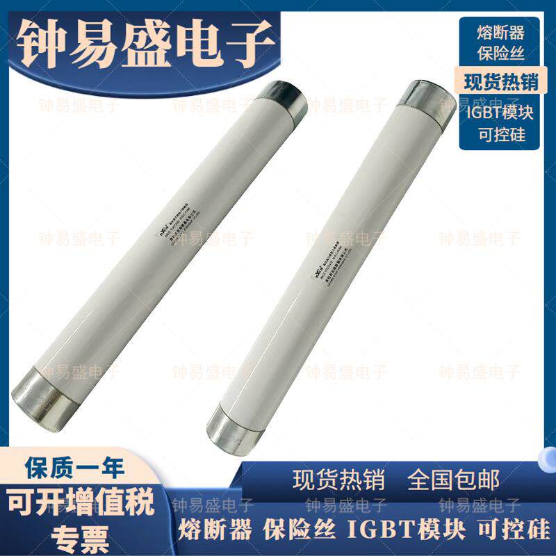 库柏西熔熔断器 RN2-12KV/20KV/24KV/35KV-0.5A/1A/2A 保险管