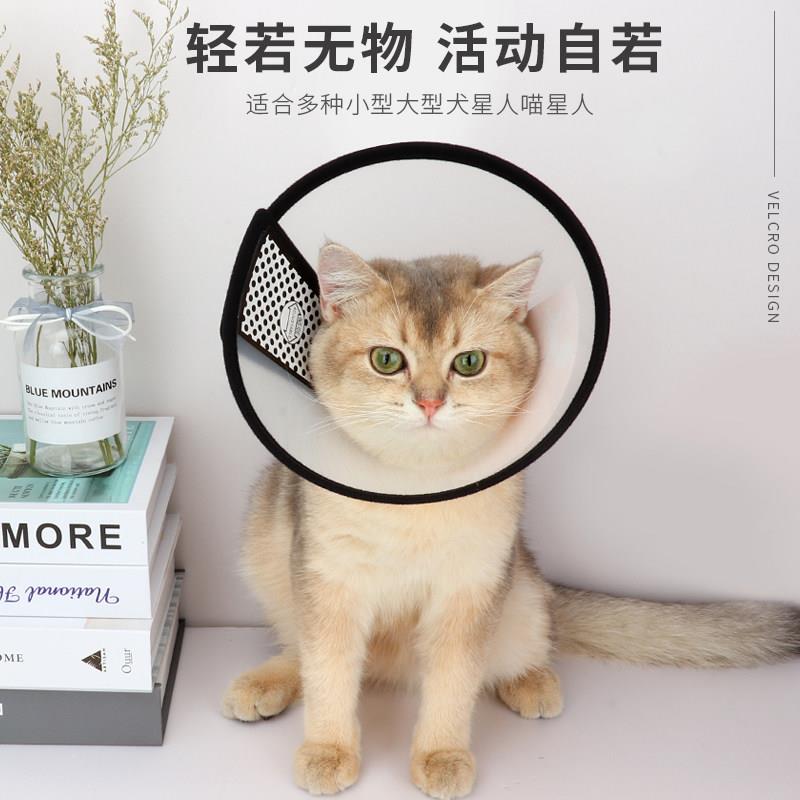 伊丽莎白圈狗狗猫咪项圈脖套防舔咬圈软伊莉莎白圈宠物头套项圈子