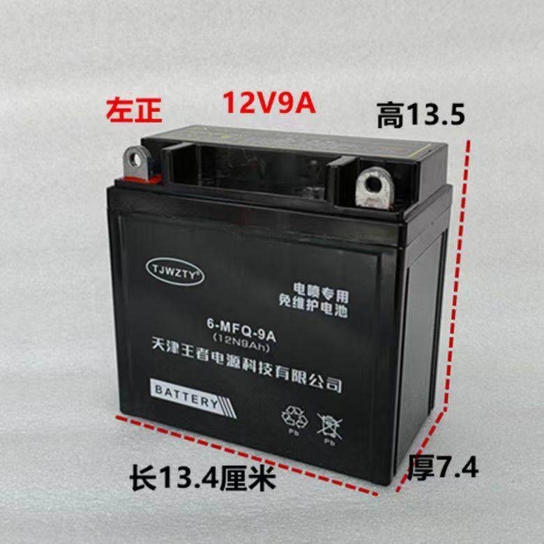 豪机车电瓶12v9ah通用免维护铃木王钻豹太子125免维护干 干电池