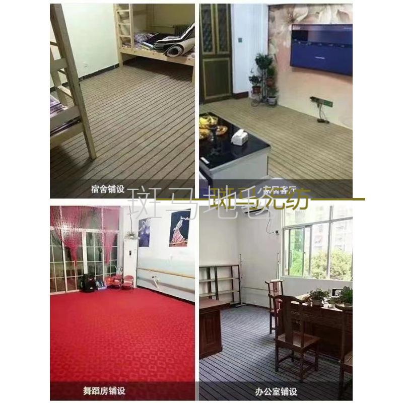 地毯大剪面积bmpdd#41铺卧室房间一整全加厚可裁出租屋毛坯房水泥