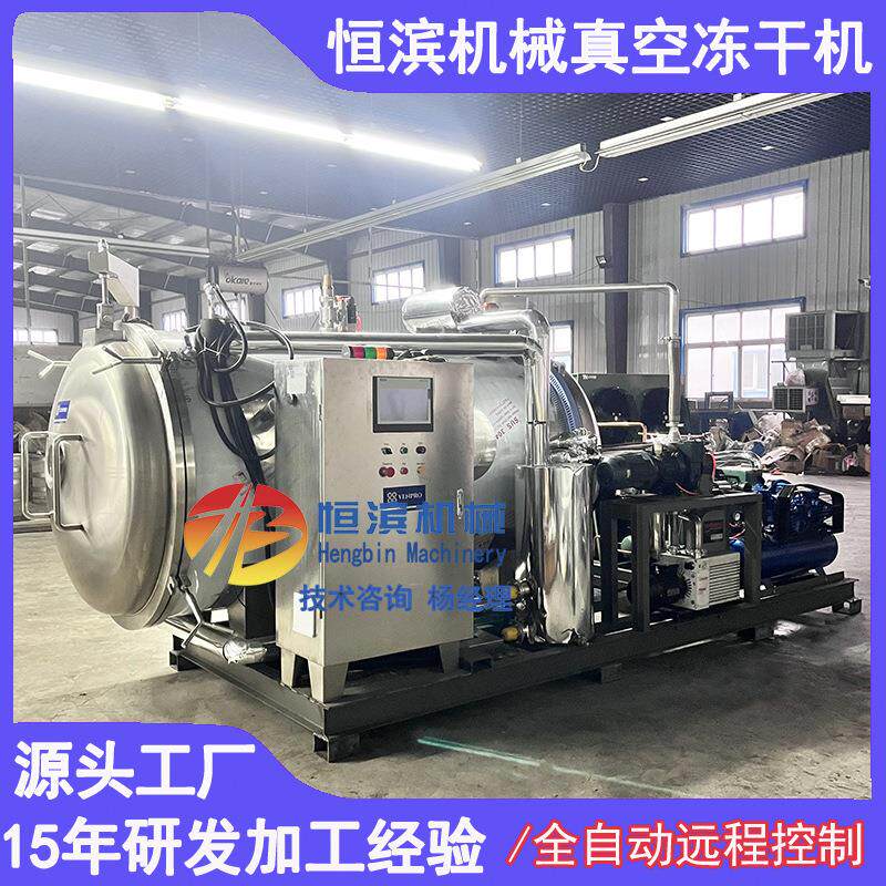 草莓真空冷冻干燥机果蔬片真空冻干机冻干机厂家直供