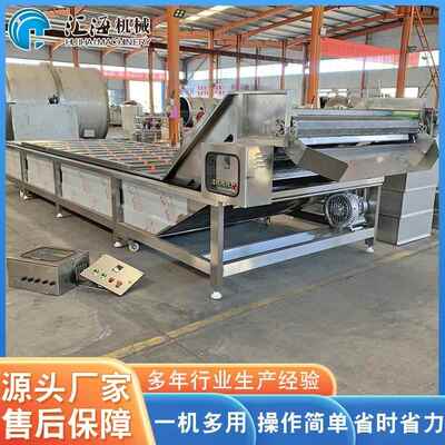 厂家AZP供应净专菜深加工洗设备 用配菜加工涡流清洗机 气泡翻浪