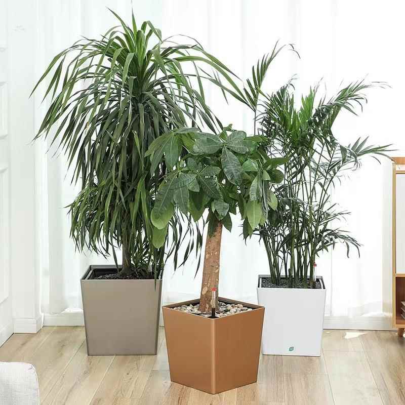 大号带轮可移动自吸水懒人树脂花盆烤漆四方盆自动浇灌系统黑