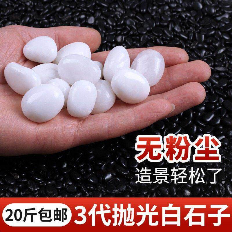 20斤白色鹅卵石鱼缸装饰造景石头庭院景观阳台精抛光小白石子