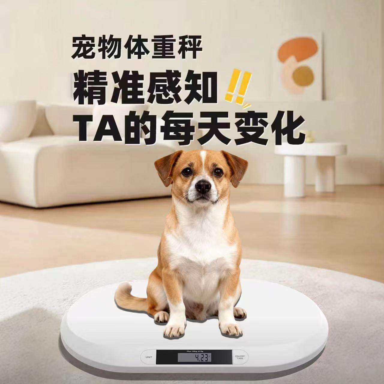源头厂家20kg宠物秤家用狗狗秤精准小动物秤猫咪称重器宝宝体重秤