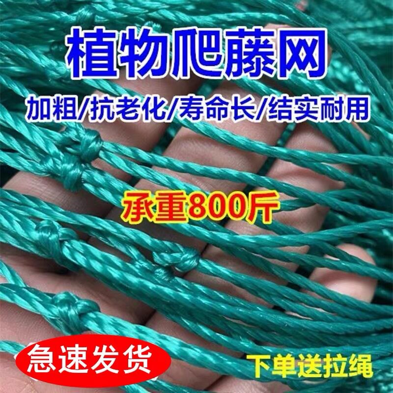 植物花卉瓜果丝瓜园艺用品套装
