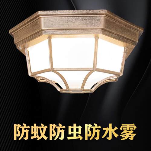 复古户外室外防水三防欧式美式防虫卫生间走廊阳台过道D吸顶灯