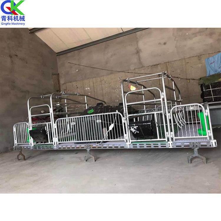 热镀锌材料母猪产床 养殖场母猪产崽床 仔猪保育定位栏