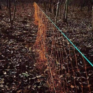 黄色轮胎线灰色尼龙果园防护网围网拦网天网养殖网网片户外专用网