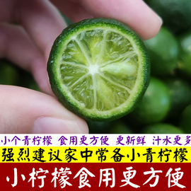 新鲜小青金桔小柠檬常年供应奶，茶店1359斤小金桔柠檬