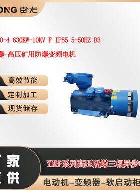 YBBP450-4630W-10VB3南阳防爆-高压矿用防爆变频电机