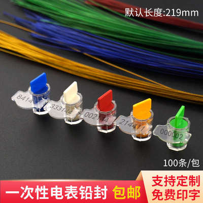 水电表铅封燃气加油机塑料封签0.6细钢丝封条一次性防伪计量锁扣