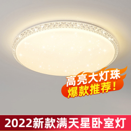 卧室灯2024年网红led吸顶灯房间灯创意主卧灯饰现代简约灯具