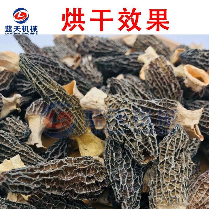 羊肚菌烘干机小型 电加热羊肚菌干烘干箱 牛肚菌菇烘干设备厂家