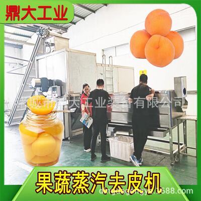商用葡萄去皮机 无需剂 果粒完整度 提升产品市场竞争力