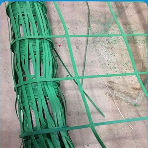 爬藤网厂 矿工山复绿边坡绿土化用爬植物爬藤网 绿色TCB钢塑植物