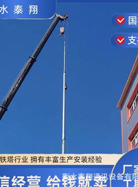 GH独立避雷针接闪杆钢管避雷针15m20m25m30米35m环形单管避雷针塔