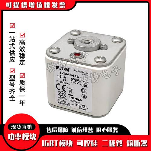 熔断器保险丝170M4364 170M4365 170M4366 170M4367 170M4368