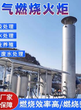 污水处理厂1000立方内燃式沼气火炬纸业设备工程养殖场定制装置