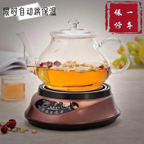 斌能达养生壶电热泡茶炉Q60A配耐高温玻璃茶壶煮茶器煮补品煮花茶