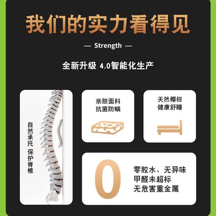 棕垫椰棕床垫可做折叠异形乳胶硬棕榈1.5米 1.8m 经济型双面可用