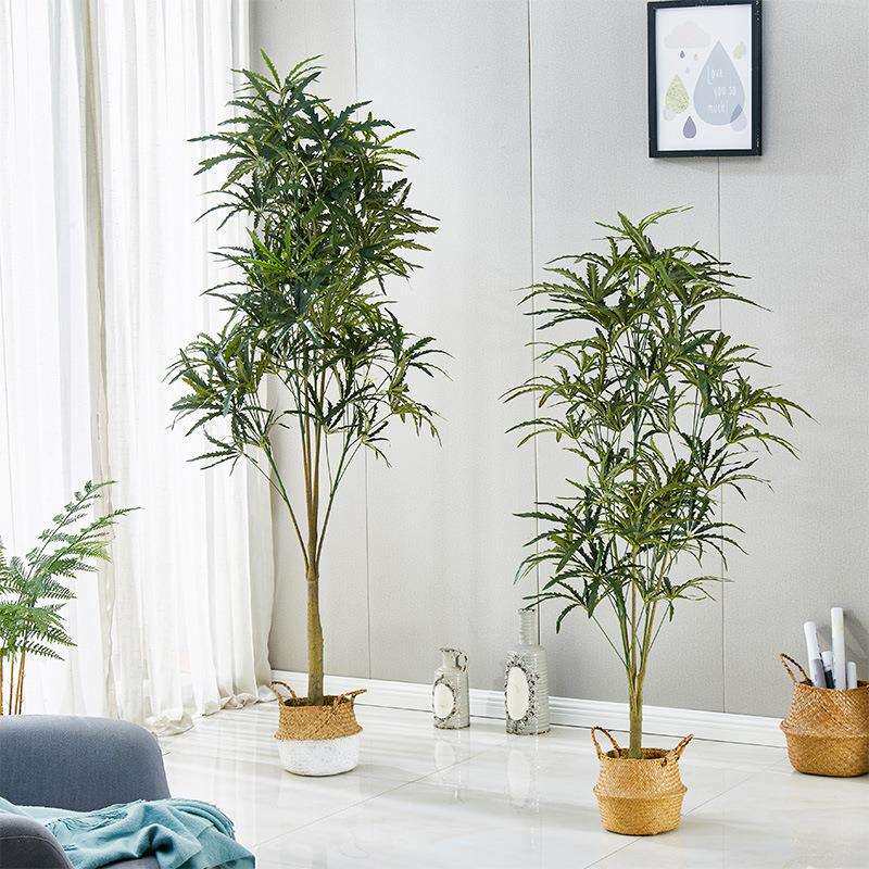北欧仿真绿植孔雀木假盆栽树客厅大型植物网红落地盆景懒人摆件树