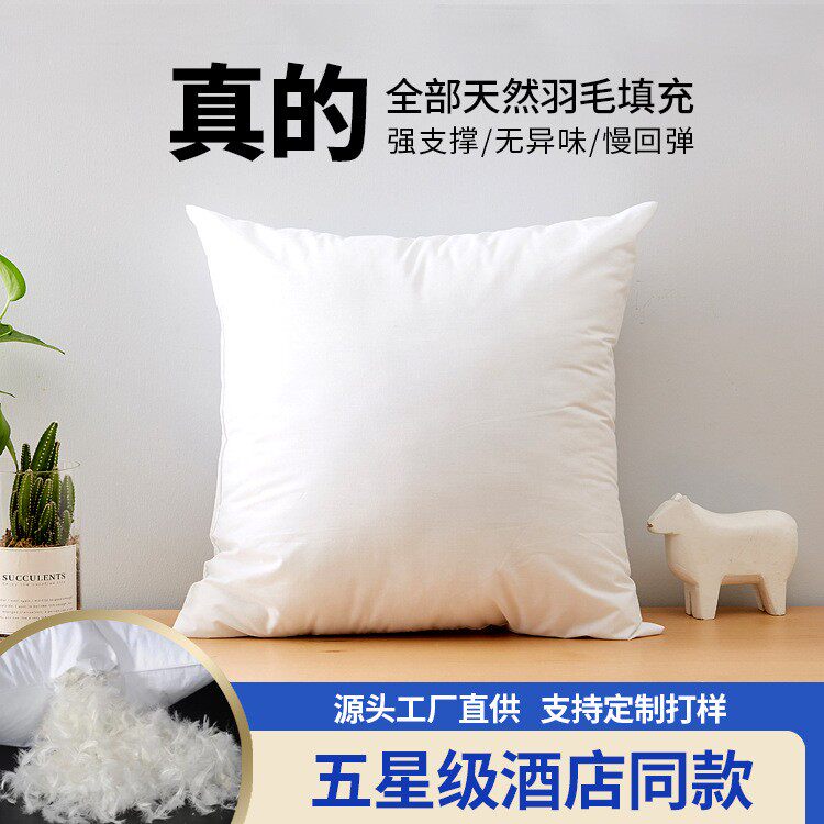 抱枕芯床头腰靠纯棉羽毛抱枕内胆沙发靠枕垫定制腰垫靠背cushion图片