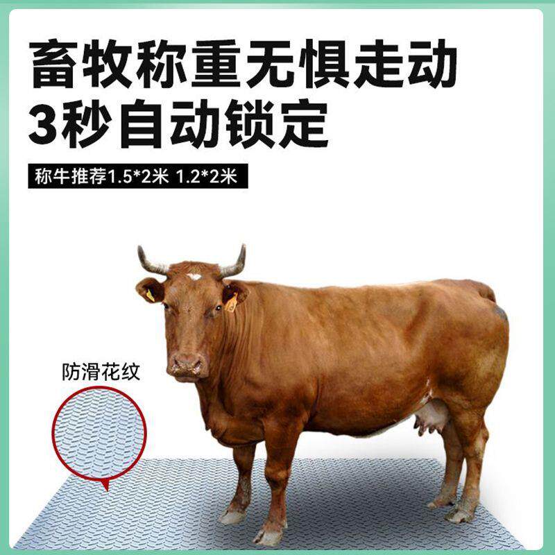 上海耀华地磅秤1-3吨加厚称猪牛防抖围栏5吨工厂物流电子小型地磅