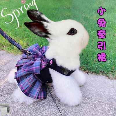 天猫优质好物/收藏加购=优先发货