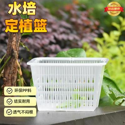 水培定植篮控根方盆兰花塑料盆墨兰花盆透气观根盆种植盆栽固定篮