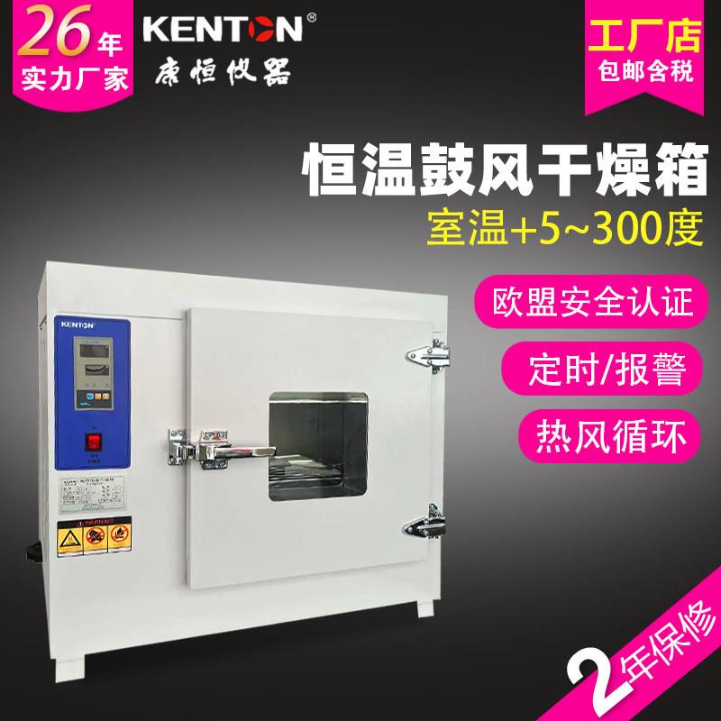 101电热恒温鼓风干燥箱工业烤汽车灯商用实验室小型加热烘干箱