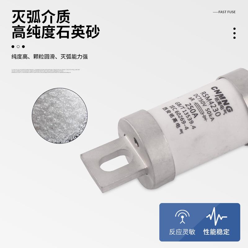 RSM直流熔断器充电桩用DC750V(RS309-MF新能源汽车熔断器250-400A