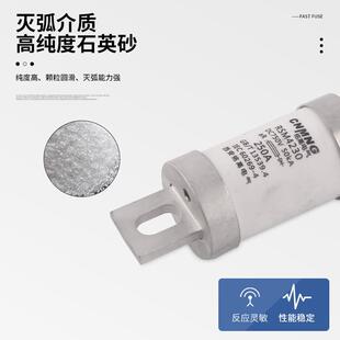 MF新能源汽车熔断器250 400A RS309 RSM直流熔断器充电桩用DC750V