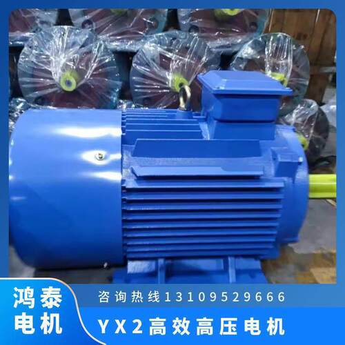 鸿泰压三相异步电机YX2-5003-2 710KW 10KV 采用优化的电磁设计