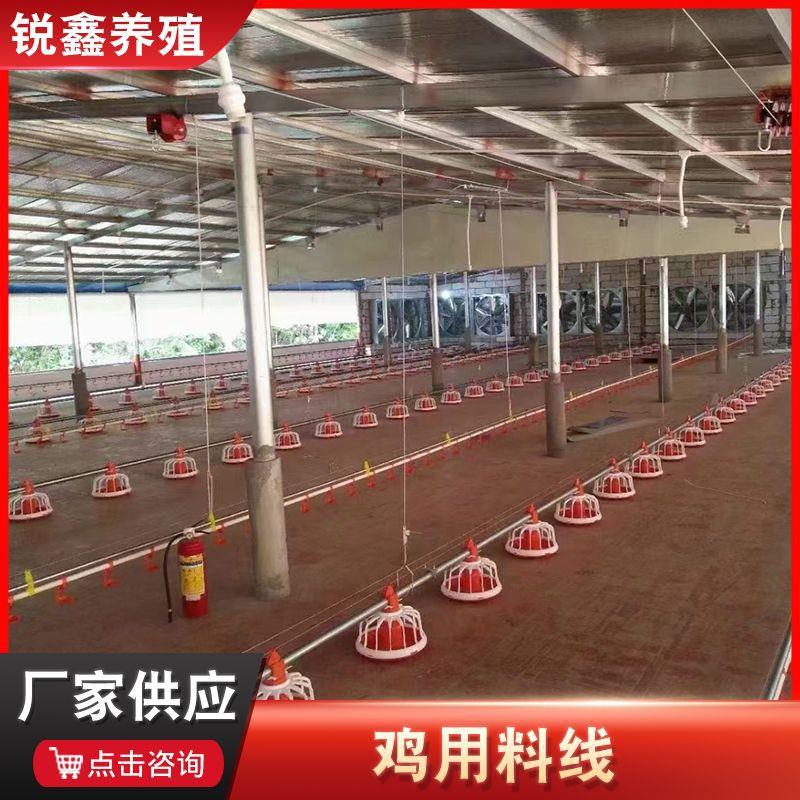 养鸡设备鸡用料线鸡用料盘肉鸡料线种鸡筒式计量同步喂料鸡用料线